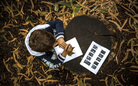 º ano - Recursos de ensino