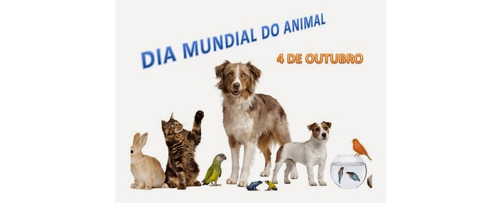 Dia 4 de outubro – Comemorações do Dia Mundial do Animal | Direção-Geral da  Educação