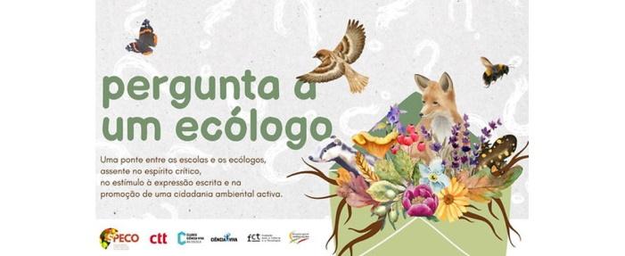 Modelo e Orientações – Preenchimento Projeto Básico
